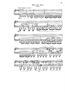 Deluge, Op.32: Movement II No.3-5, for soloists, choir and piano by Friedrich Ernst Koch