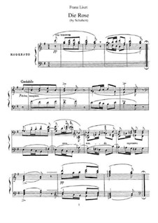 The Rose, D.745 Op.73: Para Piano, S.556 by Franz Schubert