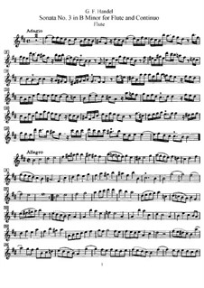 Sonata for Flute and Harpsichord No.3 in B Minor, HWV 376: Parte de solo by Georg Friedrich Händel
