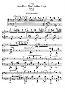 Piano Pieces after Original Songs, Op.52: para um único musico (Editado por H. Bulow) by Edvard Grieg