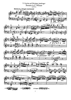 Sonata for Piano No.33 in C Minor, Hob.XVI/20: para um único musico (Editado por H. Bulow) by Joseph Haydn