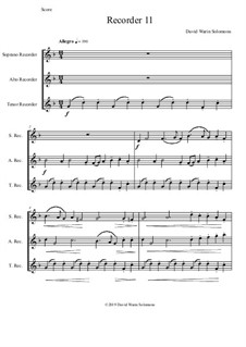Recorder 11 for recorder trio: Recorder 11 for recorder trio by David W Solomons