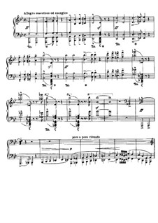 Fantastic Piece on Themes from 'Rienzi' by Wagner, S.439: Para Piano by Franz Liszt