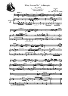 Sonata for Viola da Gamba and Harpsichord No.2 in D Major, BWV 1028: Arrangement for flute and harpsichord (or piano) by Johann Sebastian Bach