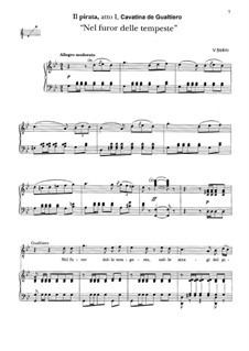 Il pirata (The Pirate): Nel furor delle tempeste. Aria Gualtiero by Vincenzo Bellini