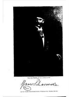 Klänge aus meinem Leben: Teil I by Xaver Scharwenka