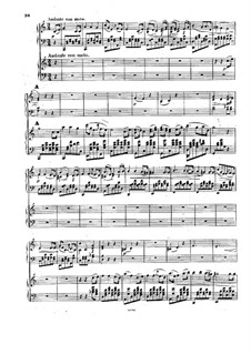 Concerto for Piano and Orchestra No.1 in E Minor, Op.25: Movimento II. Version para dos pianos de quatro maõs by Anton Rubinstein