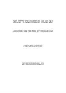 Dolente immagine di fille mia: para flauta e piano by Vincenzo Bellini