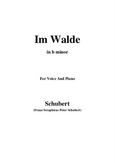 Im Walde (In the Forest), D.834 Op.93 No.1: For voice and piano (b minor) by Franz Schubert