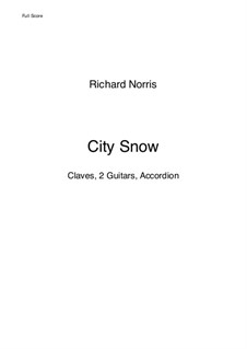 City Snow: City Snow by Richard Norris