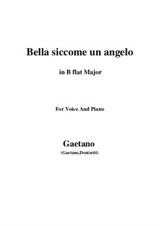 Don Pasquale: Bella siccome un angelo (B flat Major) by Gaetano Donizetti