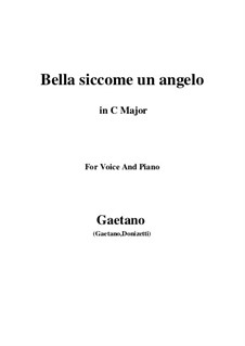 Don Pasquale: Bella siccome un angelo (C Major) by Gaetano Donizetti