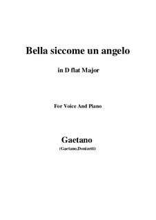 Don Pasquale: Bella siccome un angelo (D flat Major) by Gaetano Donizetti