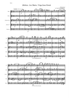 Alleluia - Ave Maria - Virga Jesse floruit: For wind quintet by William Byrd