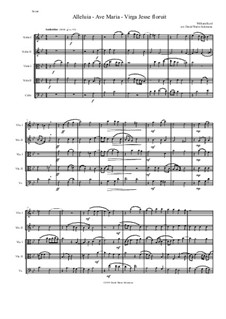 Alleluia - Ave Maria - Virga Jesse floruit: For string quintet (2 violins, 2 violas, 1 cello) by William Byrd