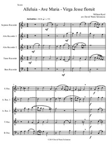 Alleluia - Ave Maria - Virga Jesse floruit: For recorder quintet by William Byrd