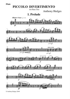 Piccolo Divetimento, Op.158: parte flauta by Anthony Hedges