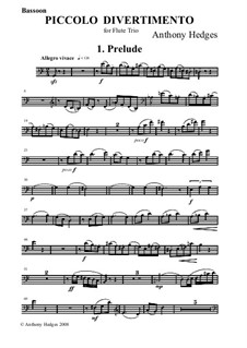 Piccolo Divetimento, Op.158: parte fagote by Anthony Hedges