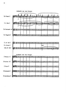 Andante ma non troppo, TH 164: Andante ma non troppo by Pyotr Tchaikovsky