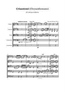 Chrysanthemums (I Crisantemi): For string orchestra, score and parts by Giacomo Puccini