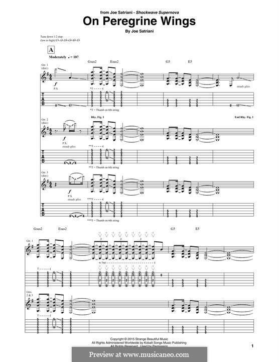 On Peregrine Wings: On Peregrine Wings by Joe Satriani