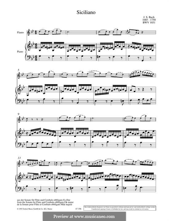 Sonata for Flute and Harpsichord No.2 in E Flat Major, BWV 1031: Siciliano. Arrangement for flute and piano by Johann Sebastian Bach