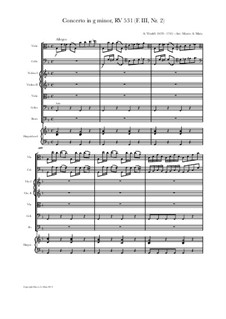 Concerto for Two Cellos and Strings in G Minor, RV 531: Version for viola, cello and strings by Antonio Vivaldi