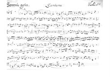 Sardana 'Somni Gris' for String Quartet: Sardana 'Somni Gris' for String Quartet by Juli Garreta