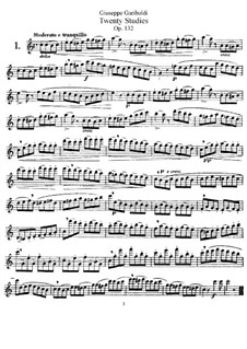 Twenty Studies for Flute, Op.132: Twenty Studies for Flute by Giuseppe Gariboldi