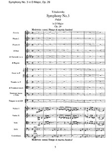Complete set: partitura completa by Pyotr Tchaikovsky