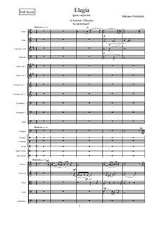 Elegía: Elegía by Mariano Ferrandez