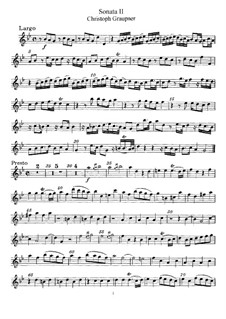 Sonata No.2 in G Minor: Versão para flauta e piano - Flauta parte by Christoph Graupner
