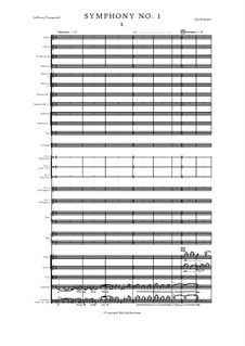 Symphony No.1: sinfonia No 1 by J.Jay Berthume
