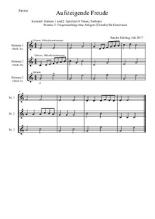 Aufsteigende Freude: Für 3 Melodieinstrumente in C by Sandra Edeling