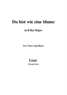 Du bist wie eine blume, S.287: B flat Maior by Franz Liszt