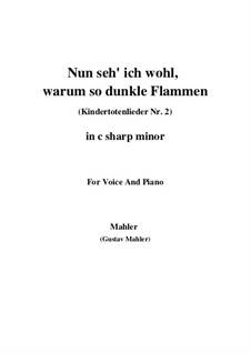 Kindertotenlieder (Songs on the Death of Children): No.2 Now I See Well, Why with Such Dark Flames (c sharp minor) by Gustav Mahler