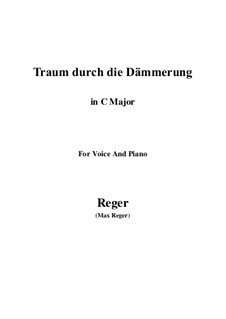 Traum durch die Dämmerung: C maior by Max Reger