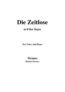 No.7 Die Zeitlose: B flat Maior by Richard Strauss