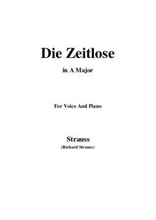 No.7 Die Zeitlose: A maior by Richard Strauss