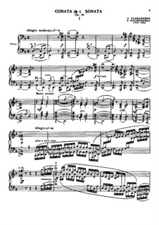 Piano Sonata No.1 in D Minor, Op.28: para um único musico (Editado por H. Bulow) by Sergei Rachmaninoff
