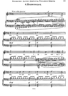 Songs and Dances of Death: No.4 The Field-Marshal by Modest Mussorgsky