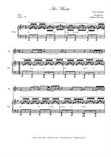 Two instruments version (with piano): para trompa e piano by Franz Schubert