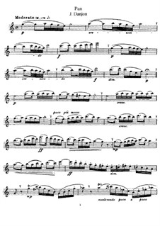 Pan, for Flute and Piano: parte Solo by Johannes Donjon