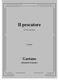 Il pescatore: C minor by Gaetano Donizetti