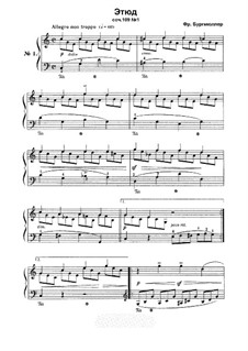 Complete set: para um único musico (Editado por H. Bulow) by Johann Friedrich Burgmüller