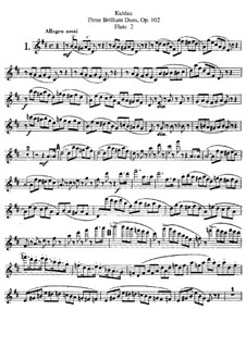 Three Brilliant Duos for Two Flutes, Op.102: flauta parte II by Friedrich Kuhlau