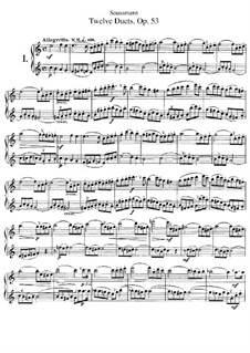Twelve Duets for Two Flutes, Op.53 No.1-12: Twelve Duets for Two Flutes by Heinrich Soussmann