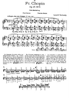 Studies after Etudes by Chopin, Op.25: Etude No.5 in E Minor (First Version) by Leopold Godowsky