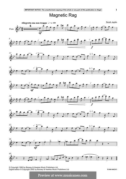 Magnetic Rag: para flauta by Scott Joplin