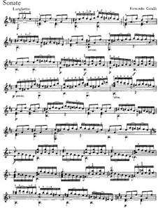 Sonata for Guitar in D Major: Sonata for Guitar in D Major by Ferdinando Carulli